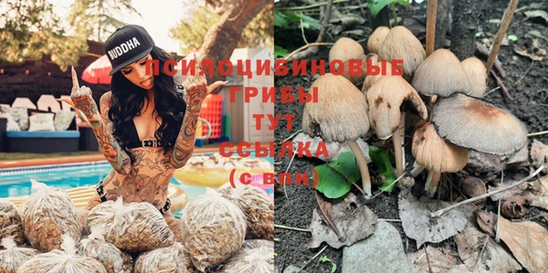 круглые Майский