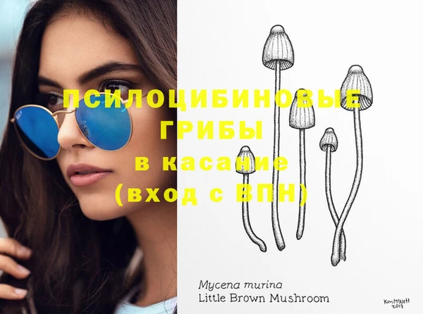 соль ск Магас